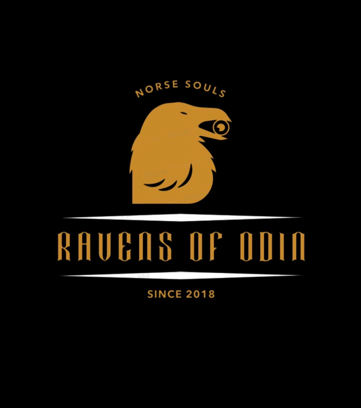 Ravens of Odin T-Shirt *SPECIAL EDITION*